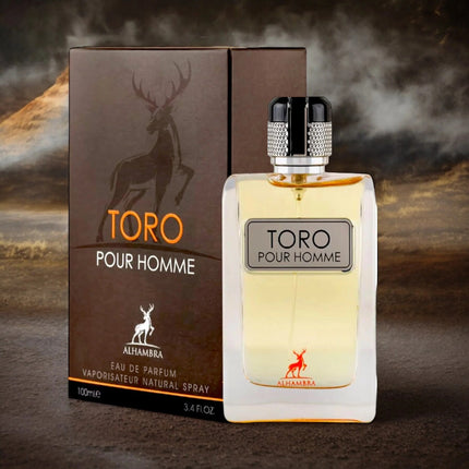 TORO POUR HOMME (inspiration terre d'hermes)