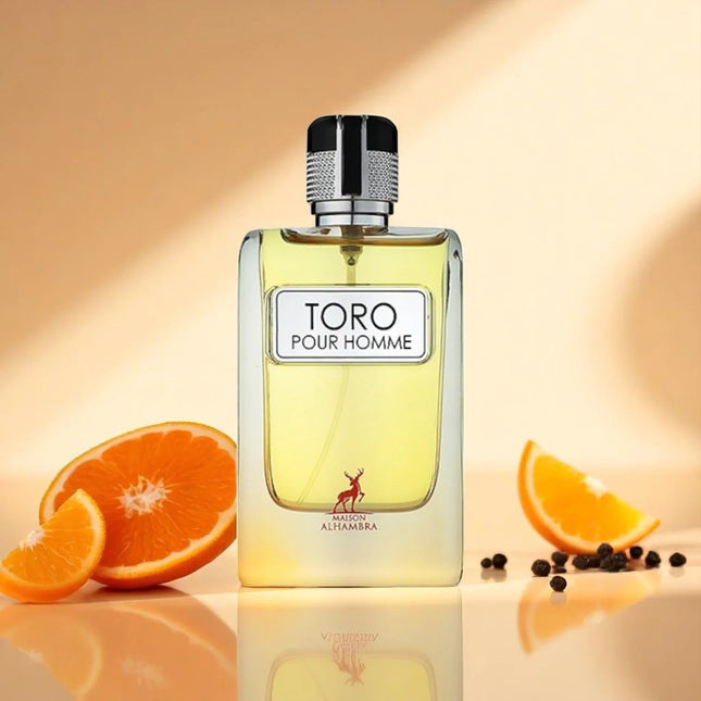 TORO POUR HOMME (inspiration terre d'hermes)