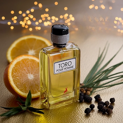 TORO POUR HOMME (inspiration terre d'hermes)