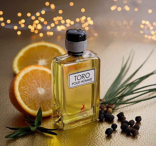 TORO POUR HOMME (inspiration terre d'hermes)
